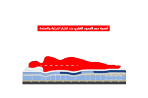 أهمية دعم العمود الفقري عند اختيار المرتبة والمخدة