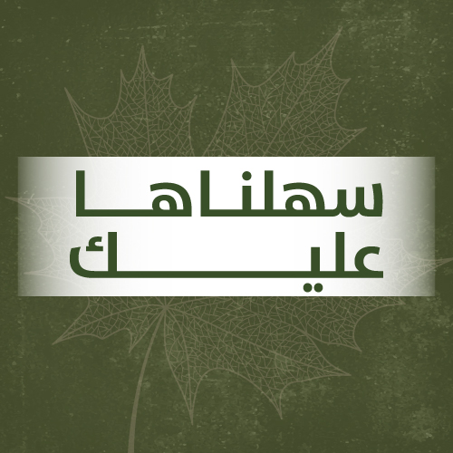 عروض يومية