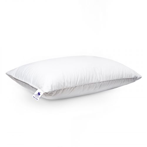 American Polo | Bed Pillow - 10103011006