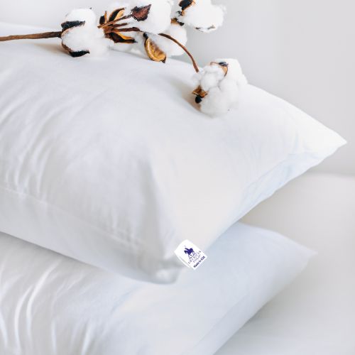 American Polo | Bed Pillow - 10103011006-1
