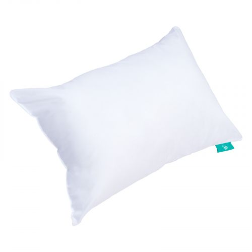 In House | Cotton National Day Pillow