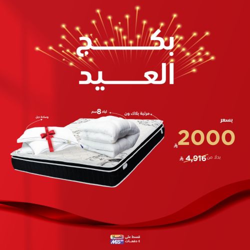 InHouse Royal Snooze Package | 14 cm Topper + Double Pillow + Black One Mattress