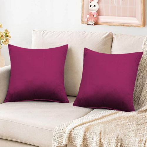 2 Pieces Velvet Decorative Cushion Set Solid Design, 45x45 cm, Rose