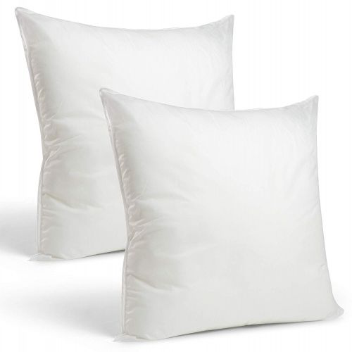 Regal In House 2-Piece of Microfibre White Cushion - Cushion Filler Square - 30X30