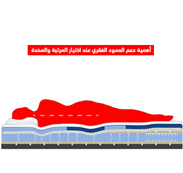 أهمية دعم العمود الفقري عند اختيار المرتبة والمخدة
