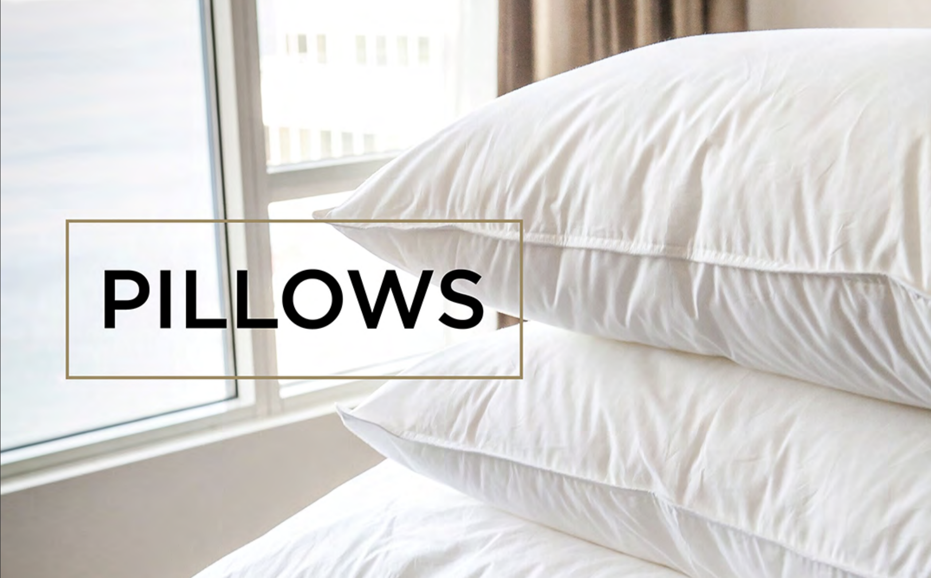 Catalog Pillows image